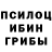 Галлюциногенные грибы Cubensis kim Seeang