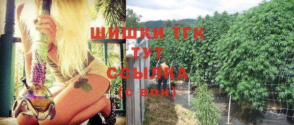 сатива Баксан