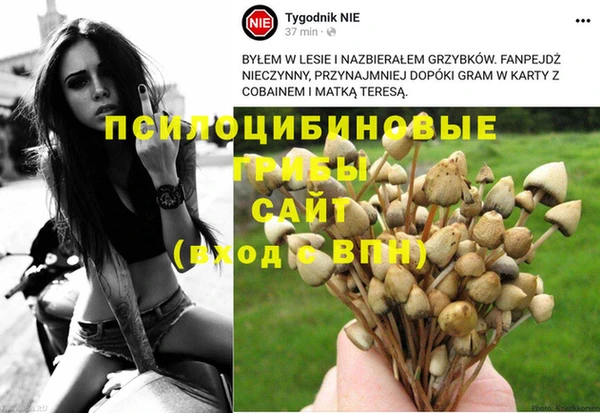 соль ск Балахна