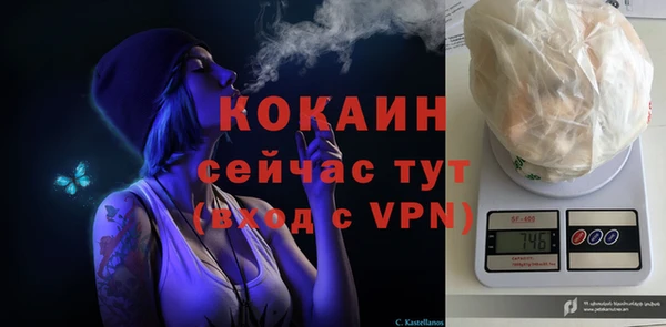 сатива Баксан
