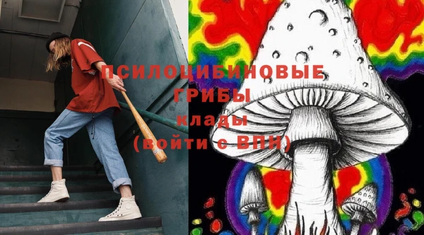 каннабис Дмитров