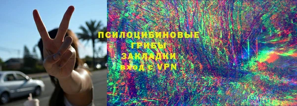 меф Дмитриев