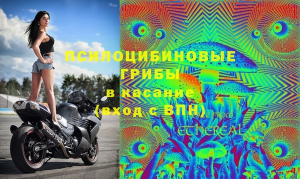 сатива Баксан