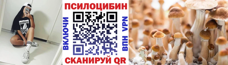 Галлюциногенные грибы Magic Shrooms  Вязники 